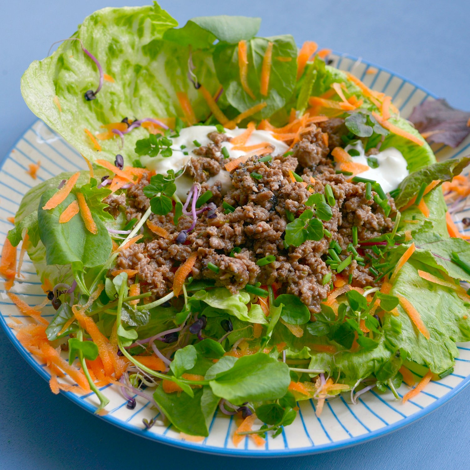 Salatteller mit Hackfleisch - Natur Konkret