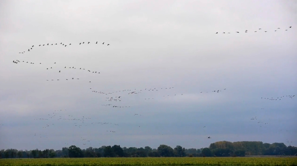abendliche «Flugshow»